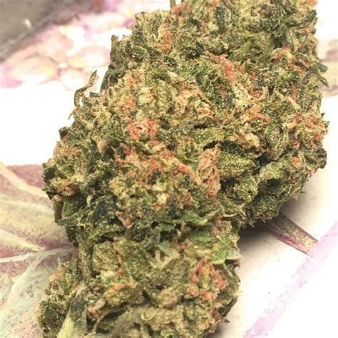 burberry kush testo|Blueberry Kush Strain .